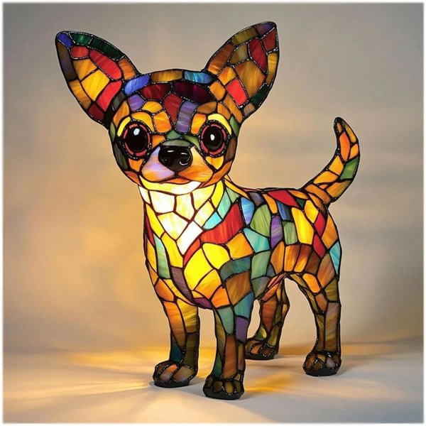 Chihuahua Elämä